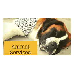 Animal Services banner with a dog on Oakdale’s official shelter page
