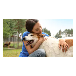 Image from the official website of Port St. Lucie Animal Control
