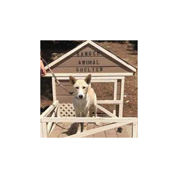 Image from the official website of Sanger Animal Control