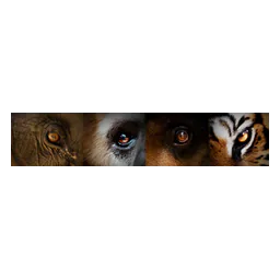 Wildlife Friends Foundation Thailand logo